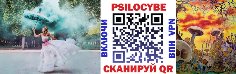 Галлюциногенные грибы Psilocybe Ряжск